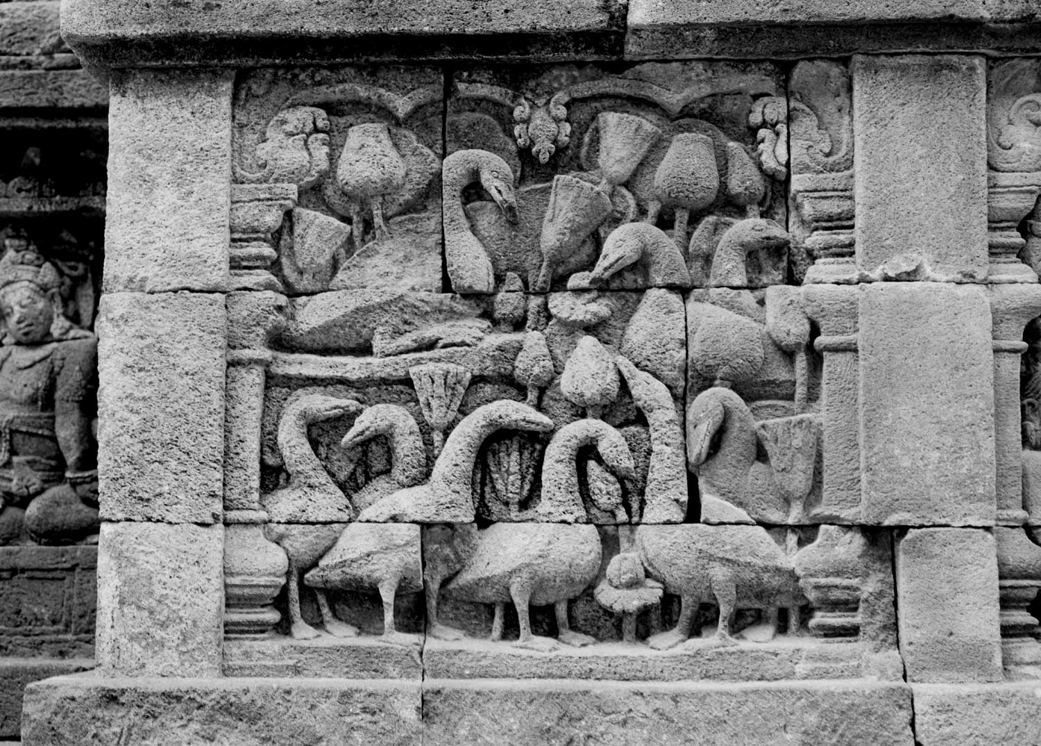 Borobudur, Central Java, Indonesia