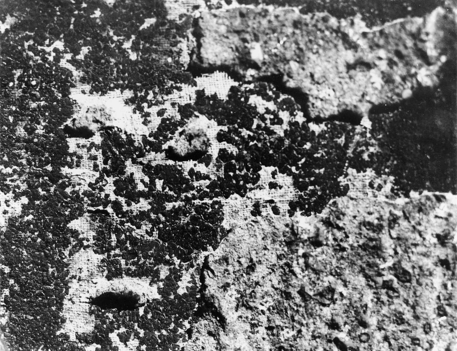 Cave 11, Ajanta, Aurangabad, Maharashtra
