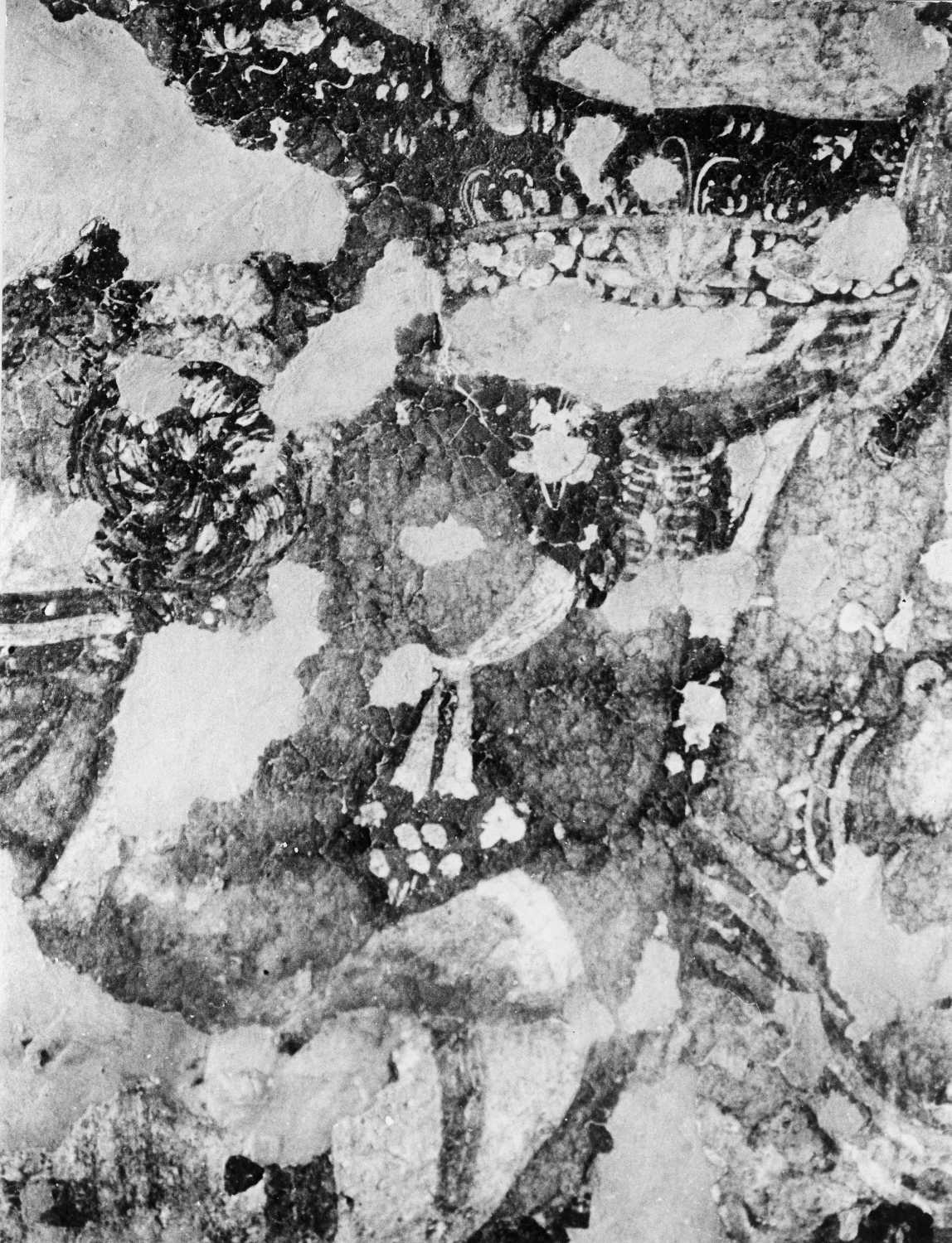 Cave 16, Ajanta, Aurangabad, Maharashtra