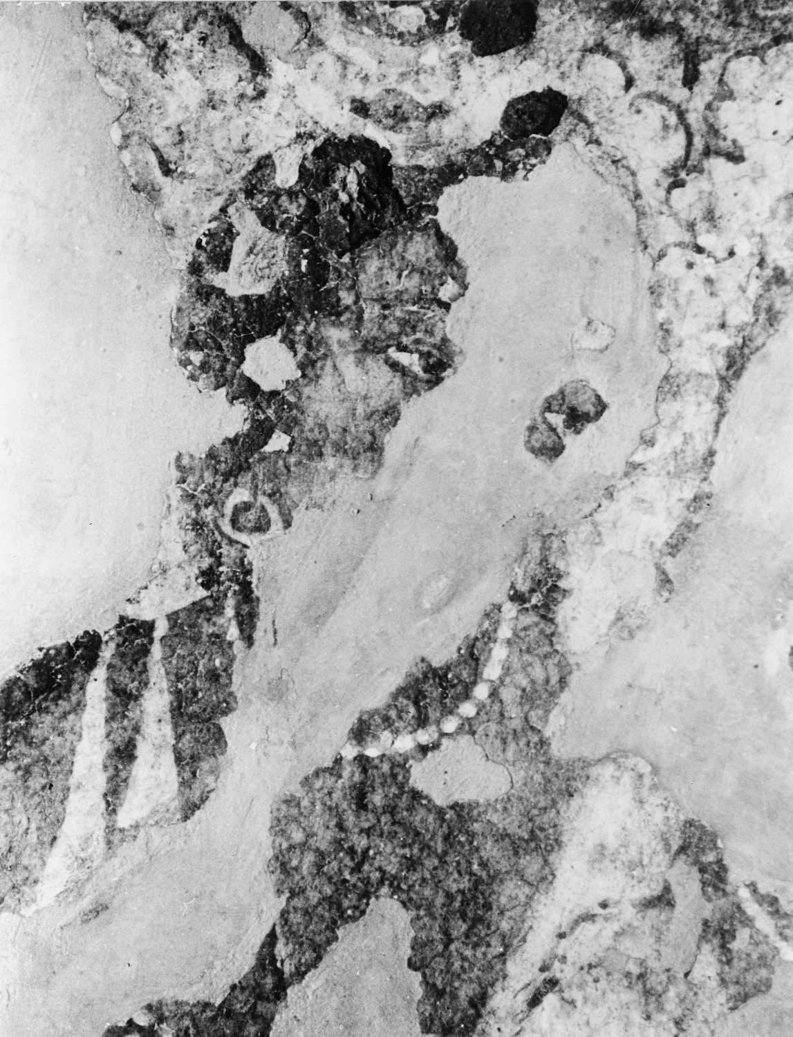 Cave 16, Ajanta, Aurangabad, Maharashtra