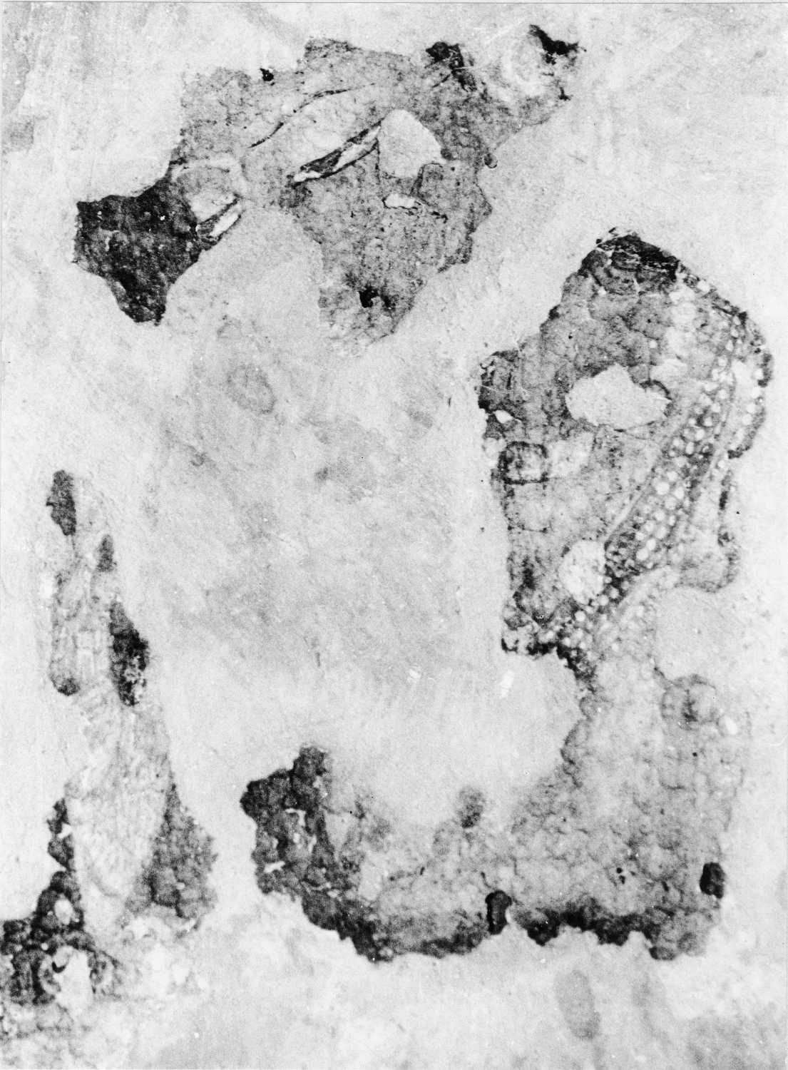 Cave 16, Ajanta, Aurangabad, Maharashtra
