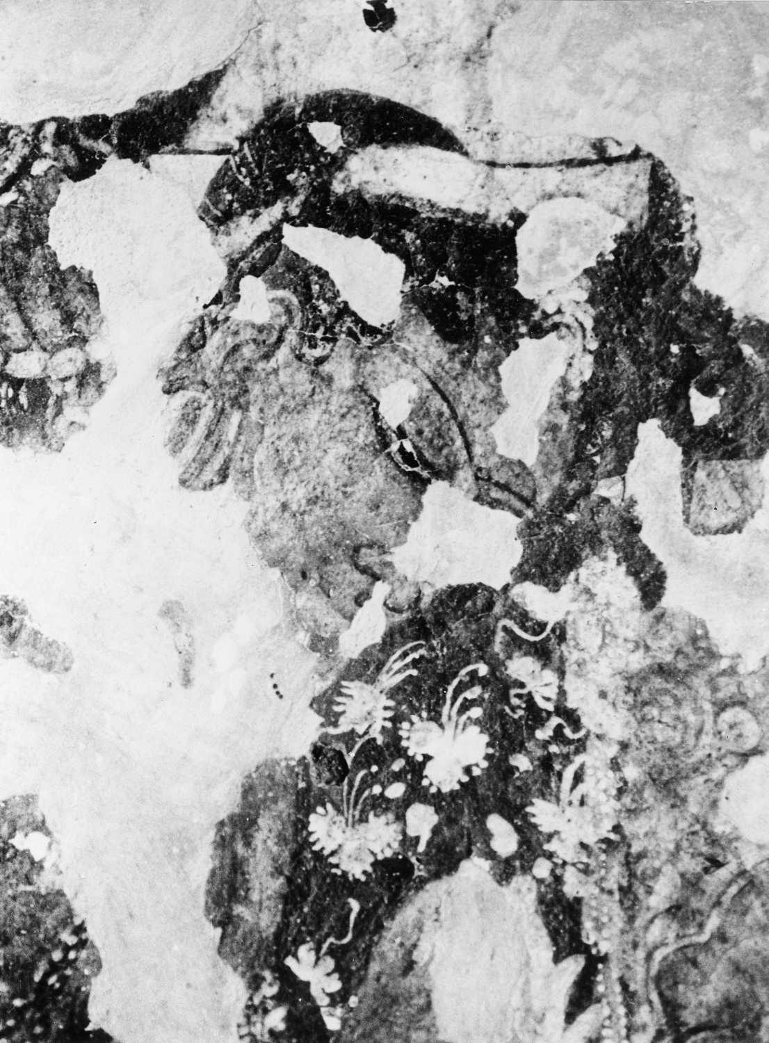 Cave 16, Ajanta, Aurangabad, Maharashtra