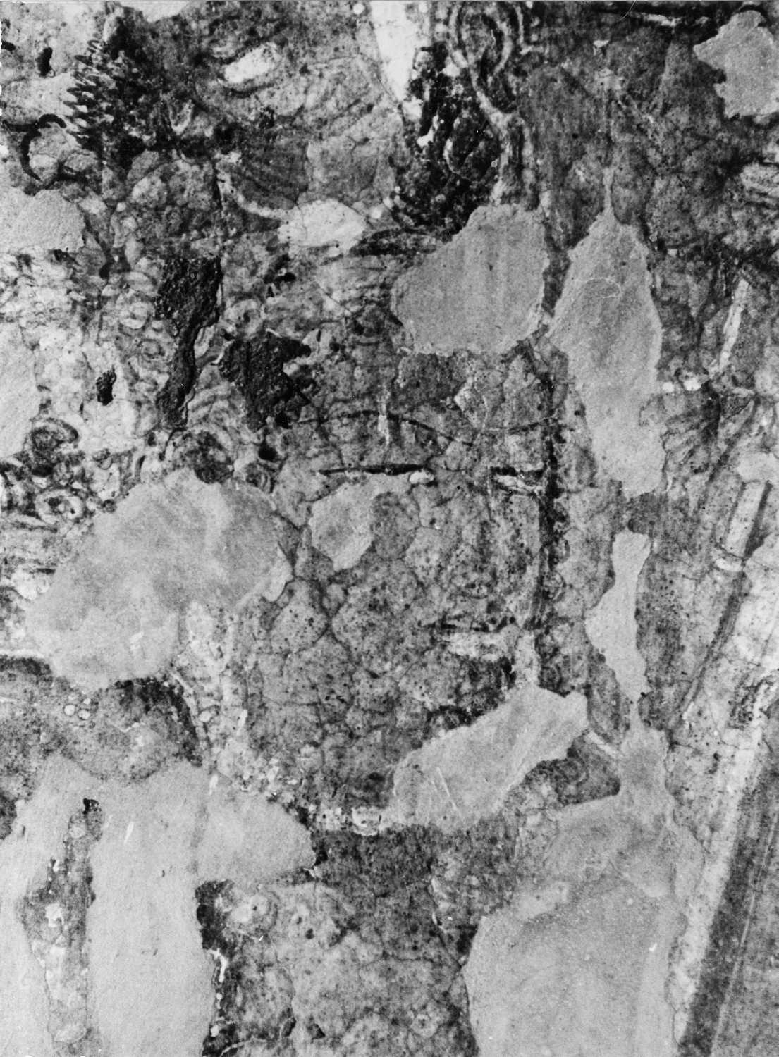 Cave 16, Ajanta, Aurangabad, Maharashtra