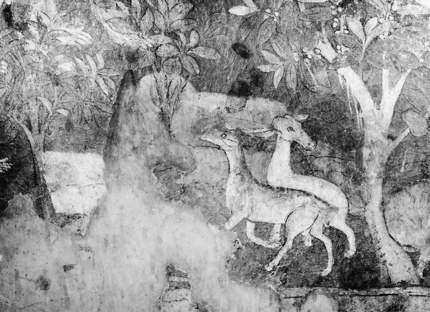 Cave 17, Ajanta, Aurangabad, Maharashtra