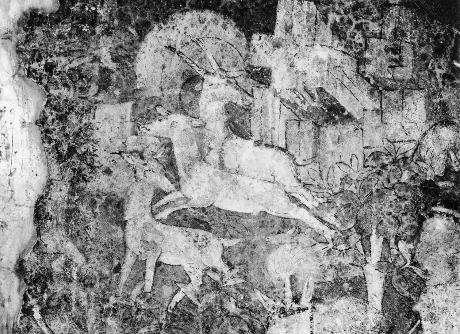 Cave 17, Ajanta, Aurangabad, Maharashtra