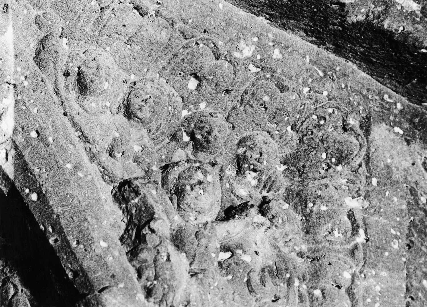 Cave 20, Ajanta, Aurangabad, Maharashtra