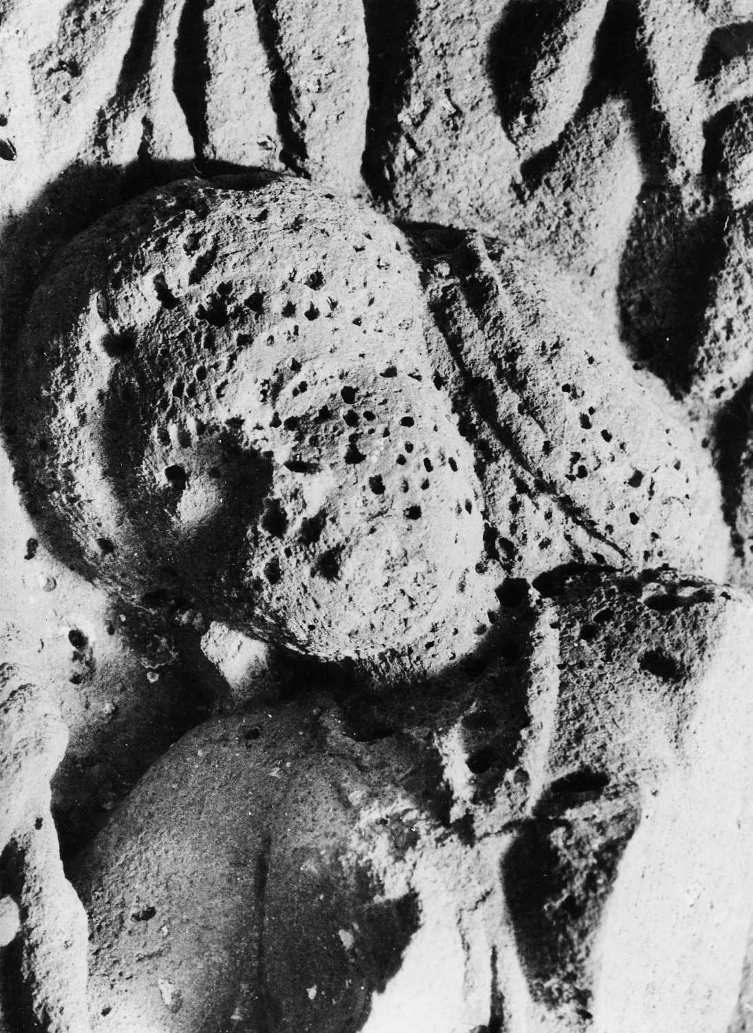 Cave 20, Ajanta, Aurangabad, Maharashtra