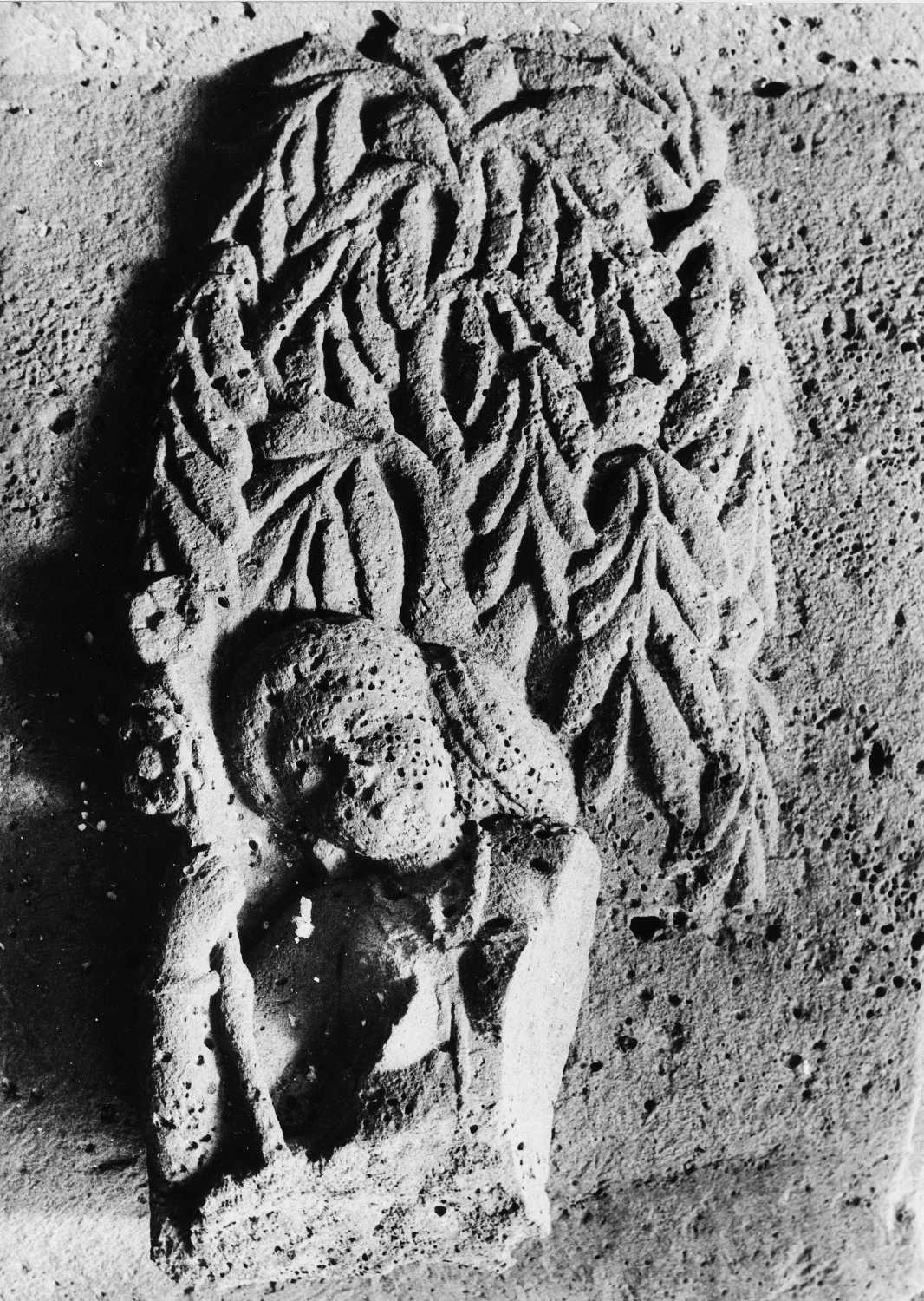 Cave 20, Ajanta, Aurangabad, Maharashtra