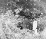 Cave 31, Ajanta, Aurangabad, Maharashtra