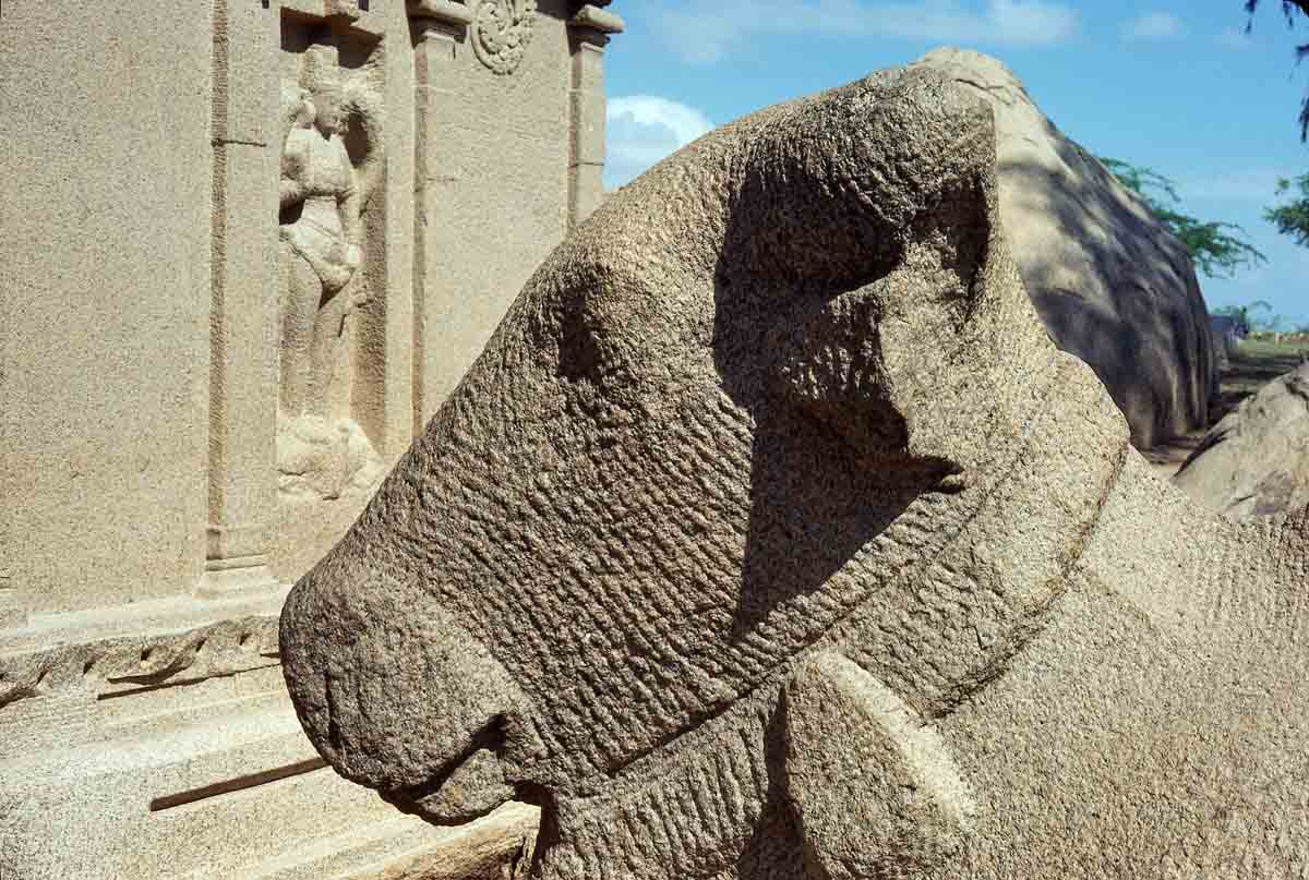 ACSAA Digital Images (Monuments)