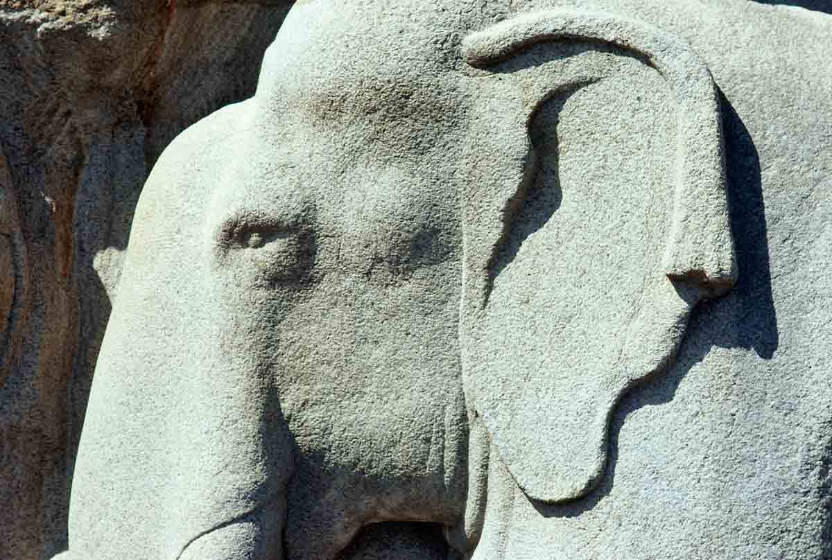 ACSAA Digital Images (Monuments)