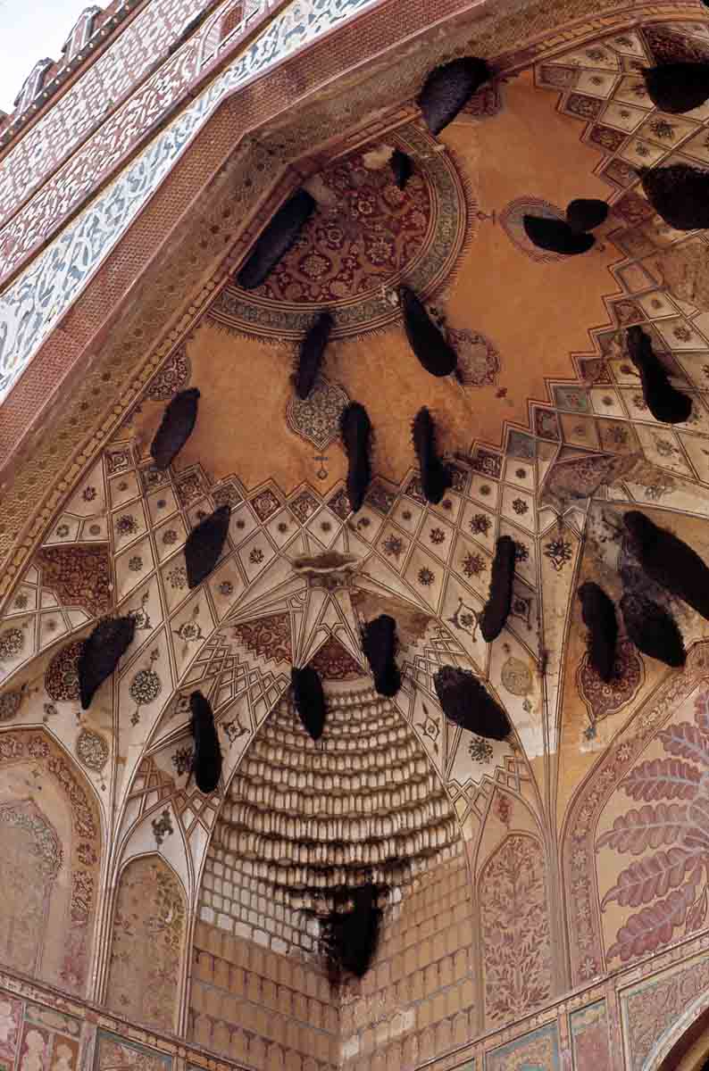 ACSAA Digital Images (Monuments)