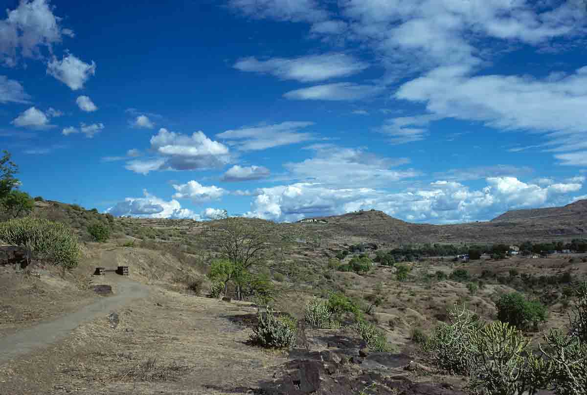 ACSAA Digital Images (Monuments)