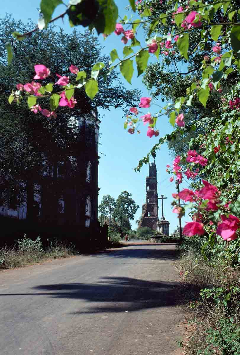 ACSAA Digital Images (Monuments)