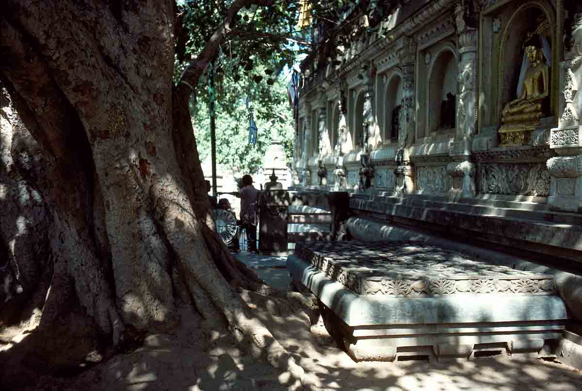 ACSAA Digital Images (Monuments)