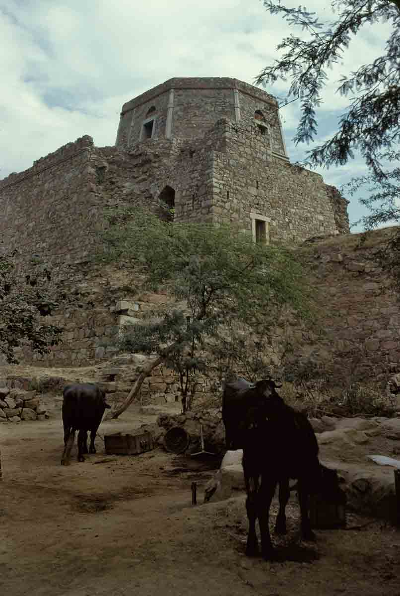 ACSAA Digital Images (Monuments)