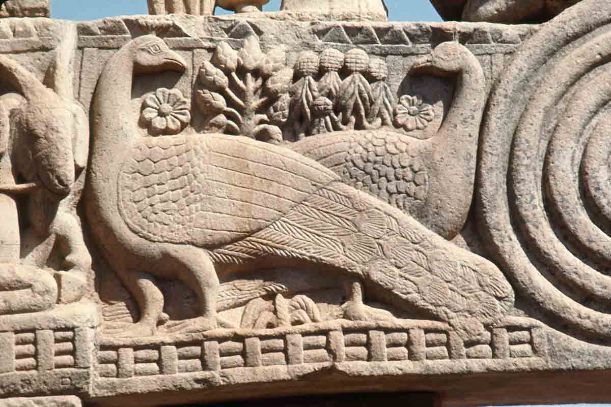 ACSAA Digital Images (Monuments)