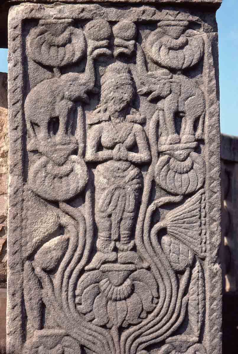 ACSAA Digital Images (Monuments)