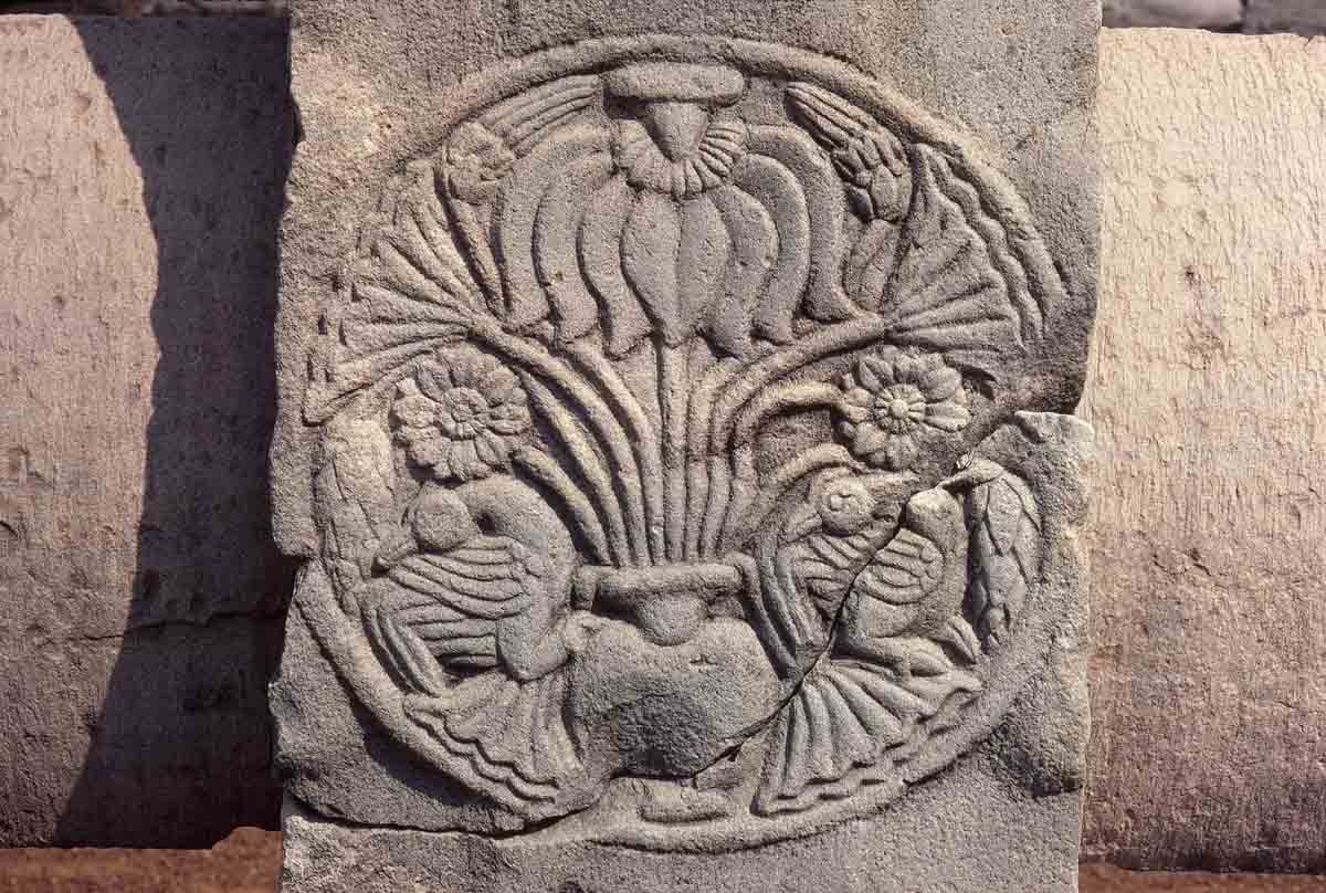 ACSAA Digital Images (Monuments)