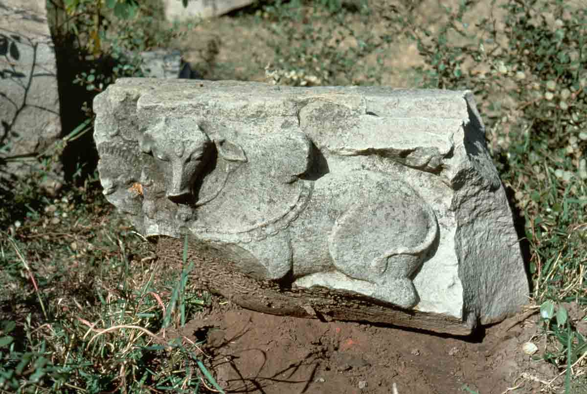 ACSAA Digital Images (Monuments)