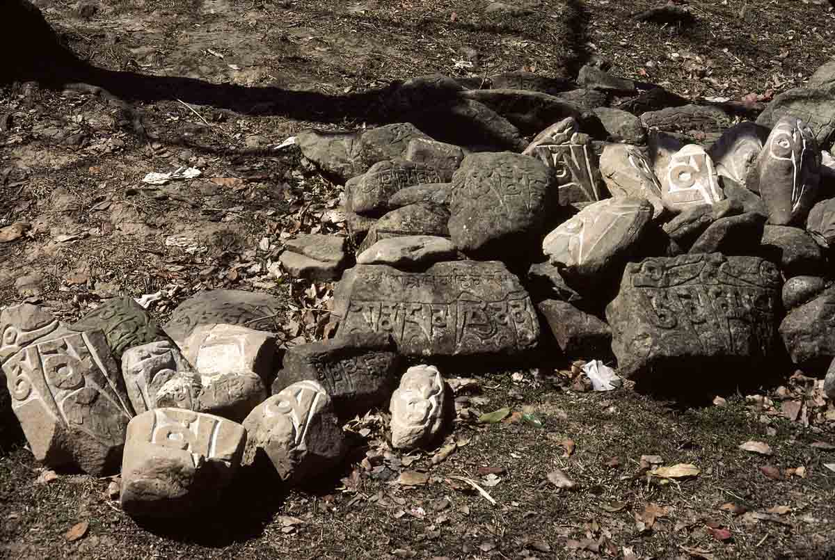 ACSAA Digital Images (Monuments)