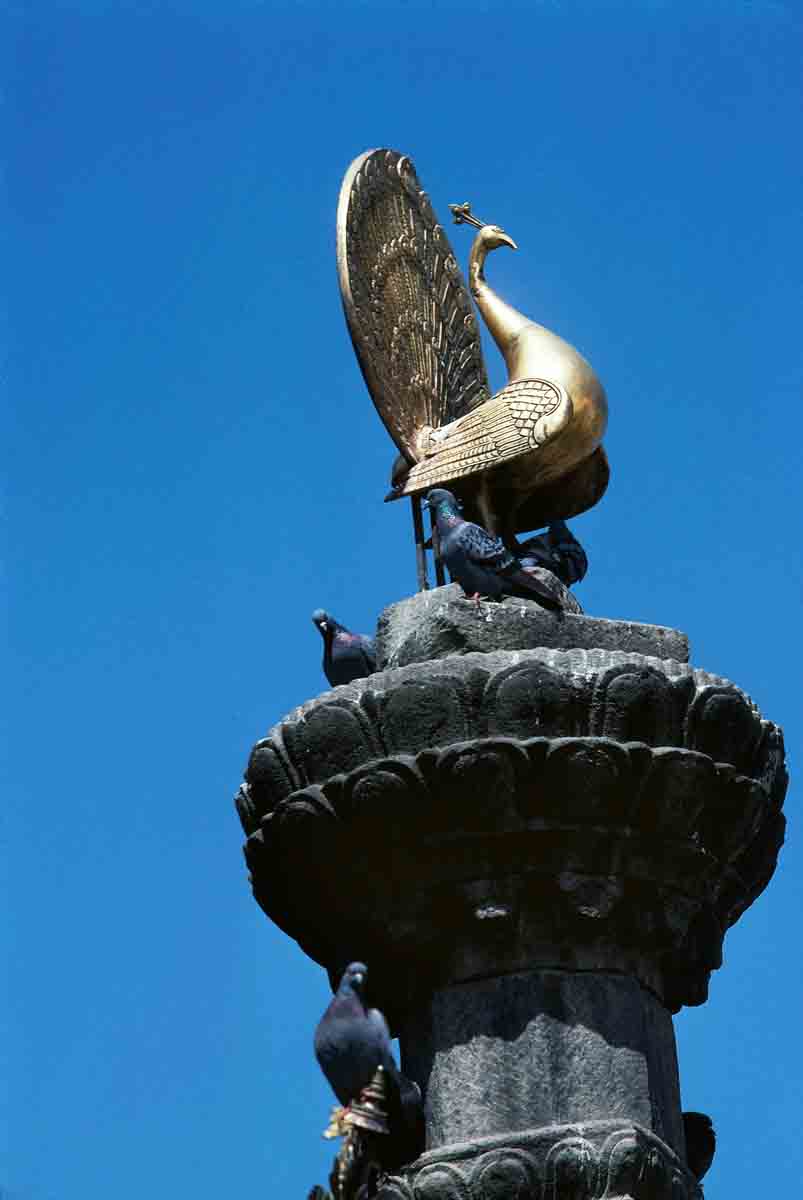 ACSAA Digital Images (Monuments)