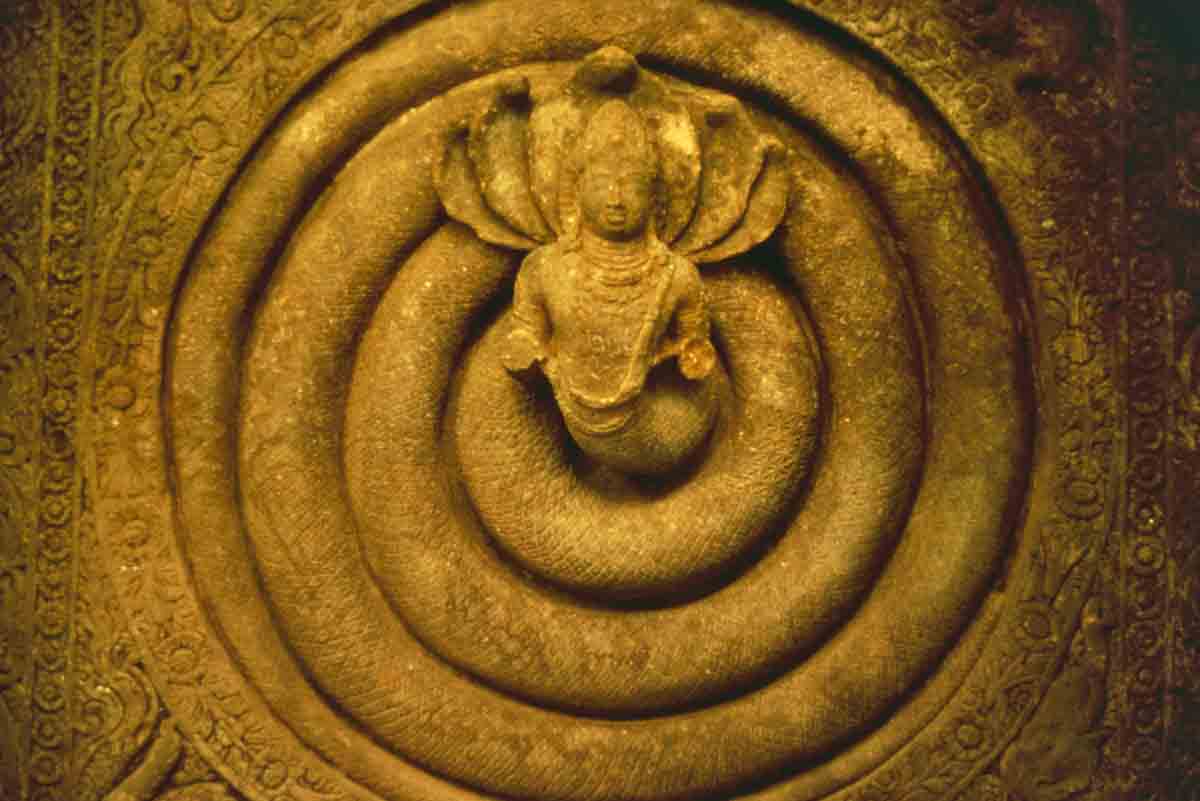 ACSAA Digital Images (Monuments)