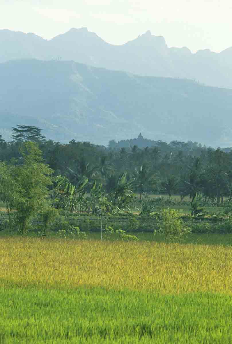 ACSAA Digital Images (Monuments)