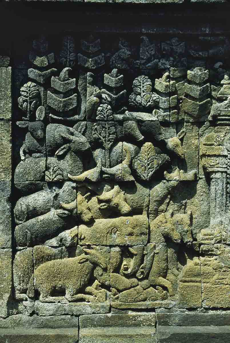 ACSAA Digital Images (Monuments)