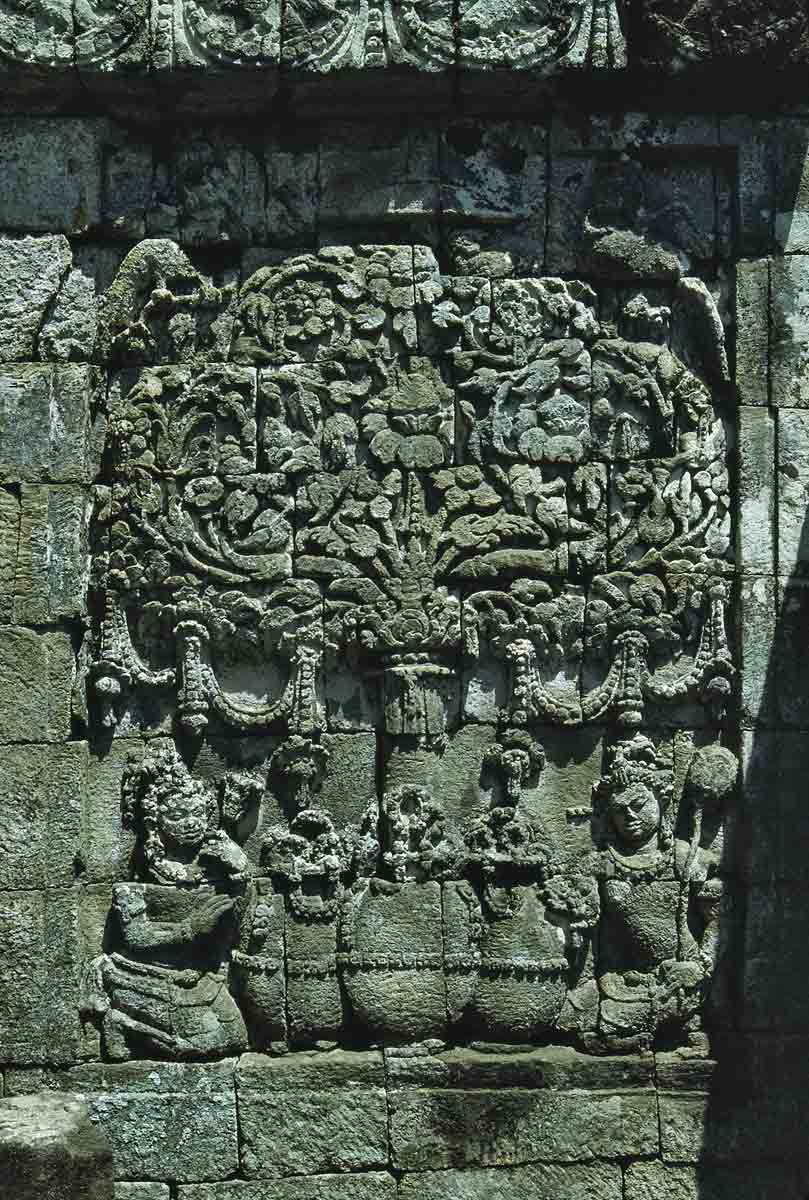 ACSAA Digital Images (Monuments)