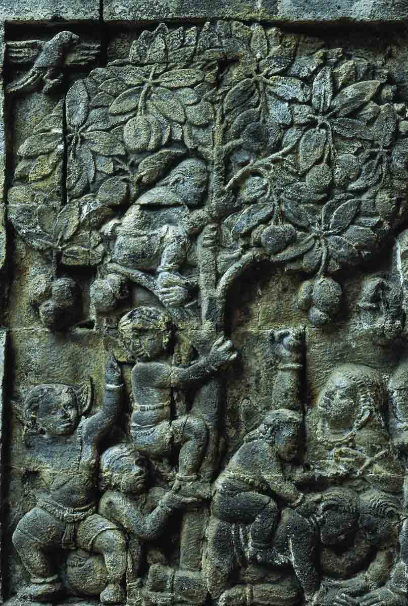 ACSAA Digital Images (Monuments)