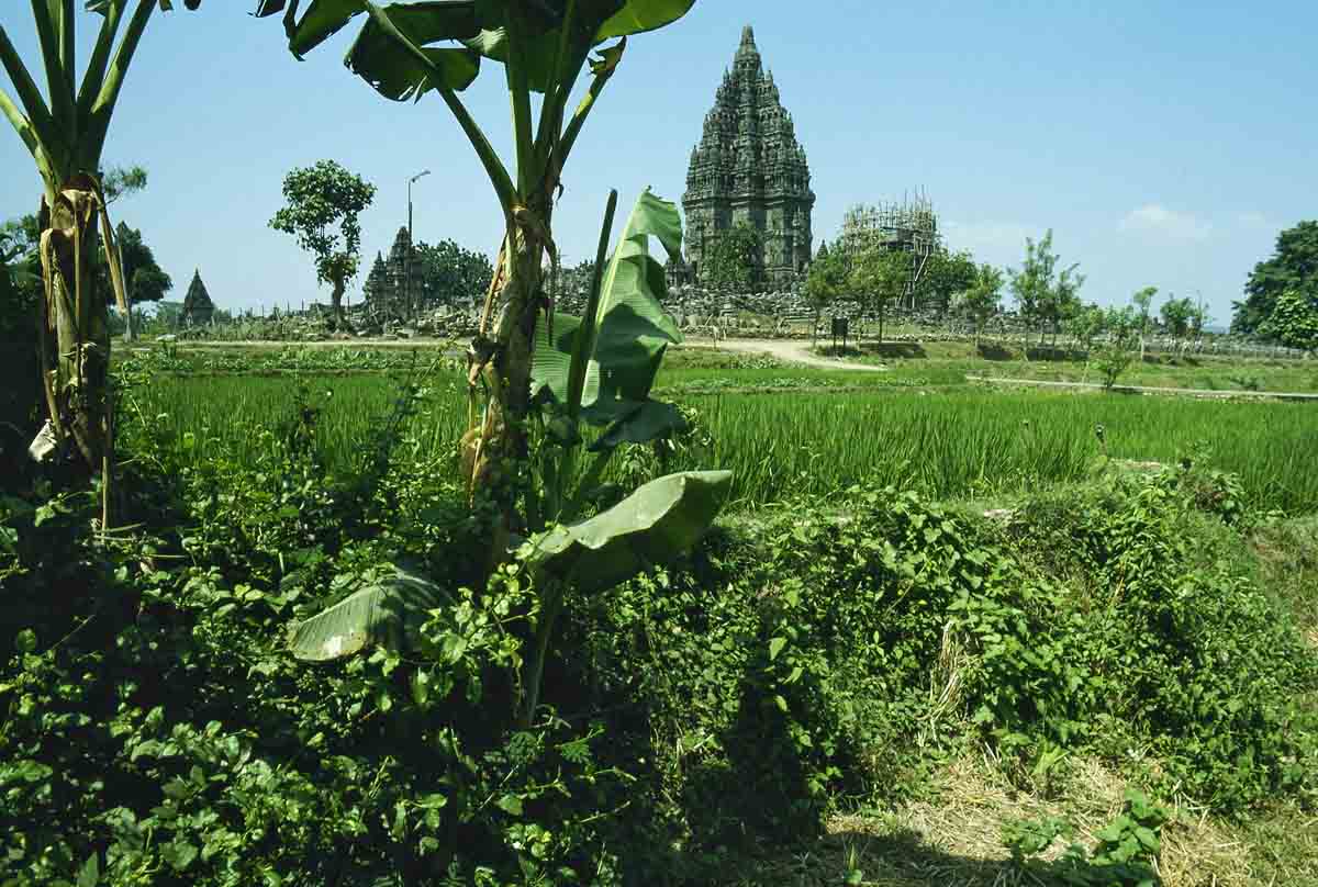 ACSAA Digital Images (Monuments)