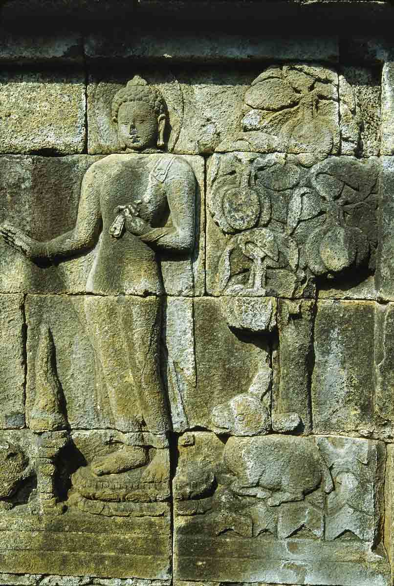 ACSAA Digital Images (Monuments)