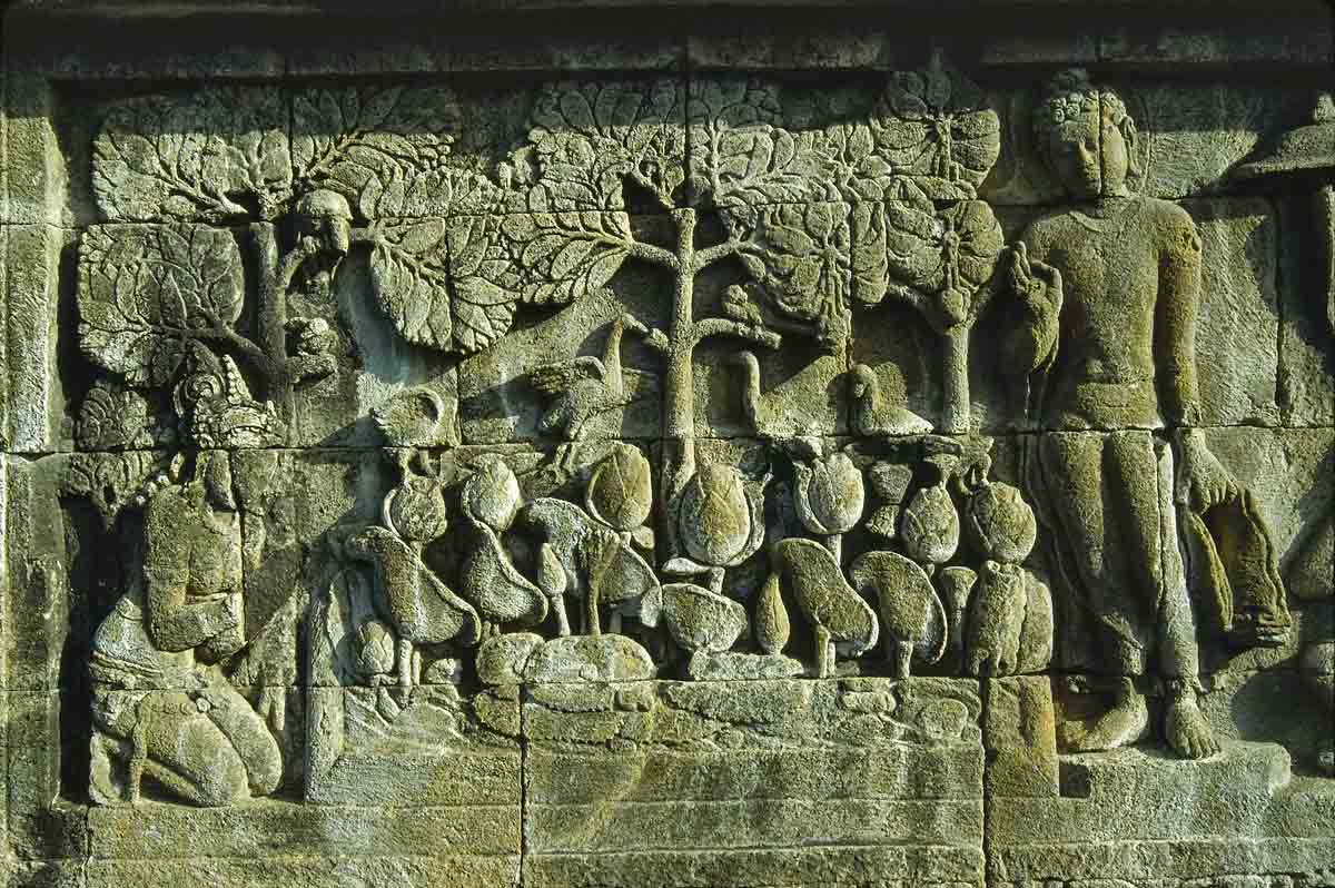 ACSAA Digital Images (Monuments)