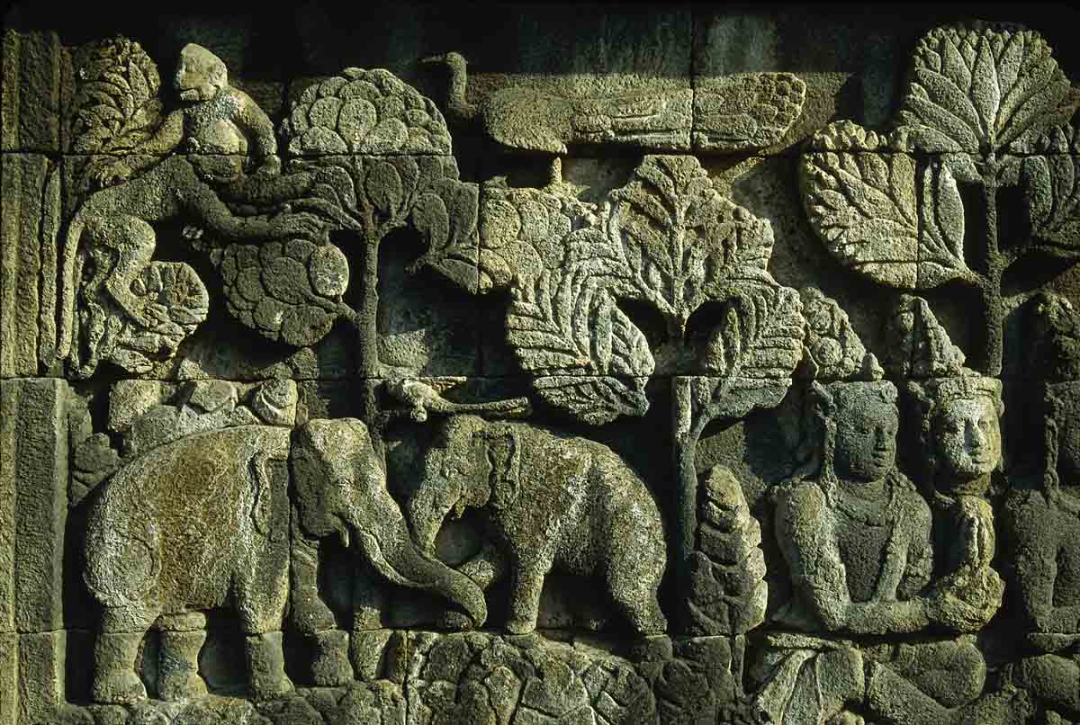 ACSAA Digital Images (Monuments)