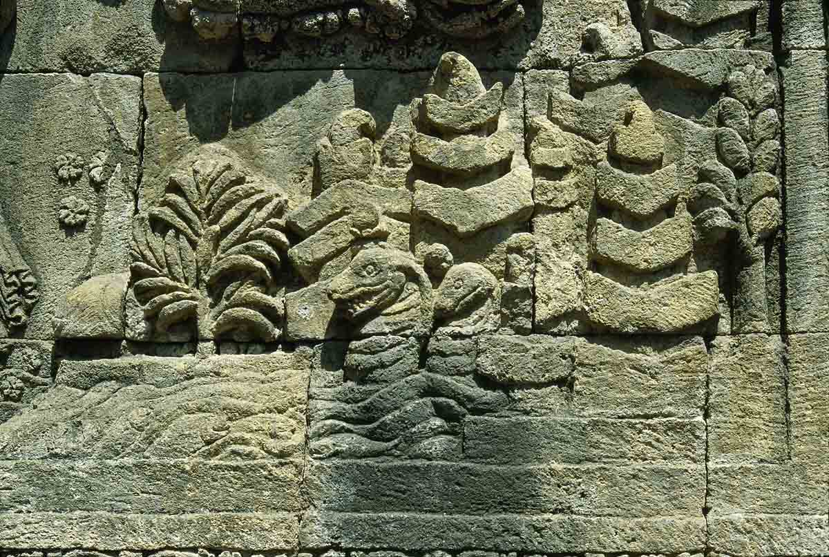 ACSAA Digital Images (Monuments)