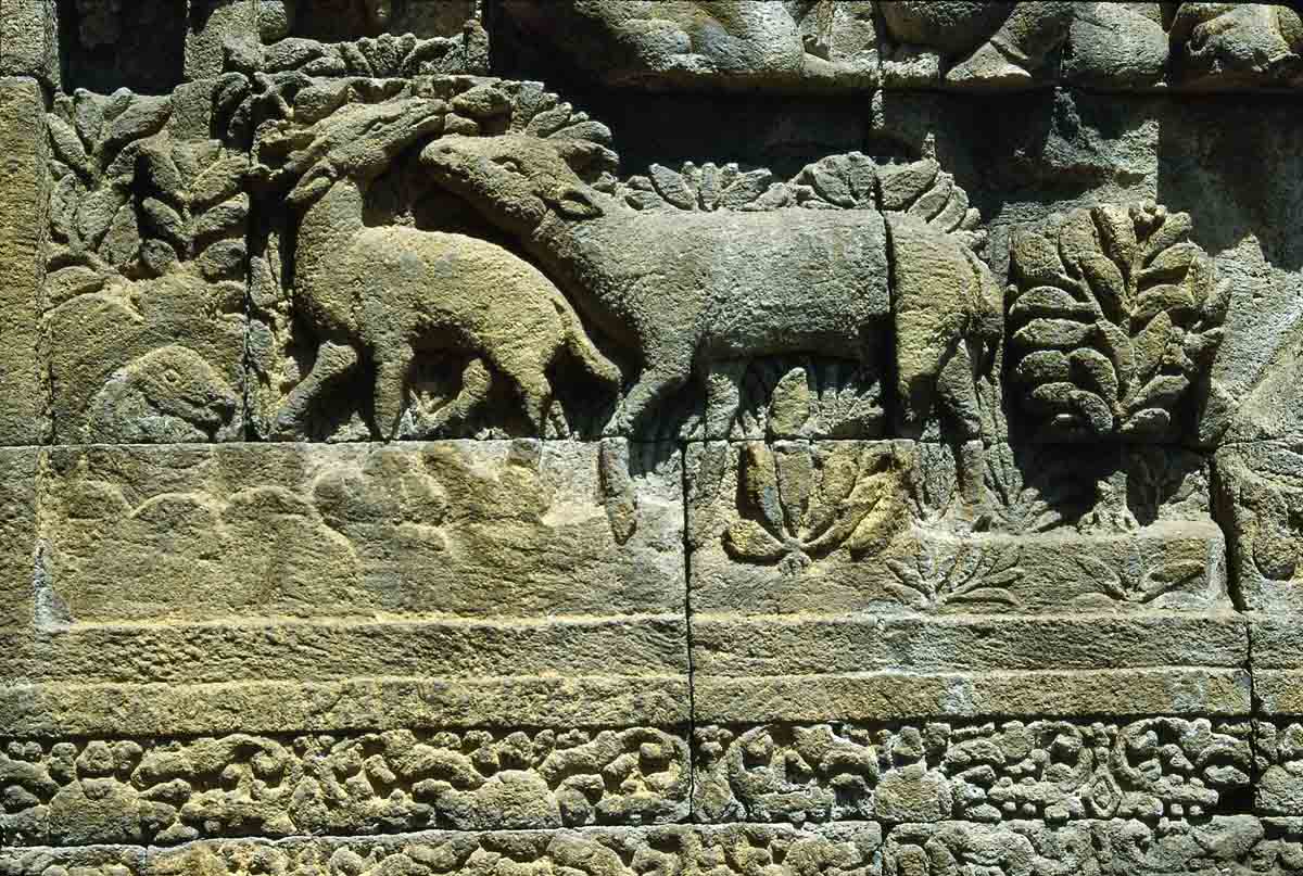 ACSAA Digital Images (Monuments)