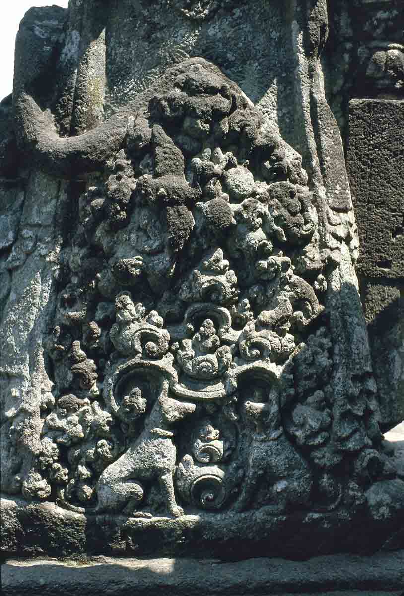 ACSAA Digital Images (Monuments)