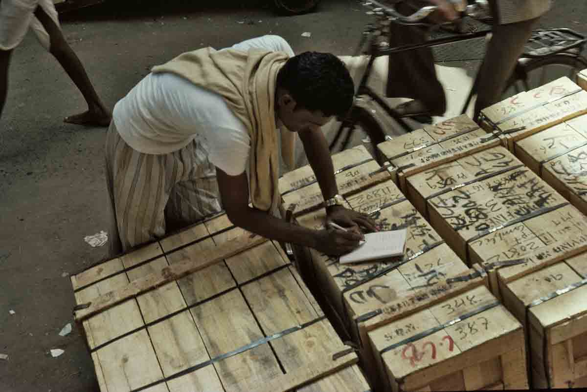 ACSAA Digital Images (Monuments)