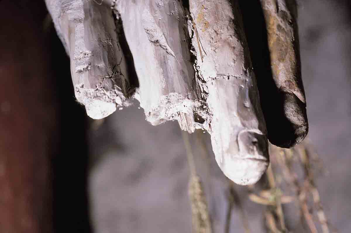 ACSAA Digital Images (Monuments)