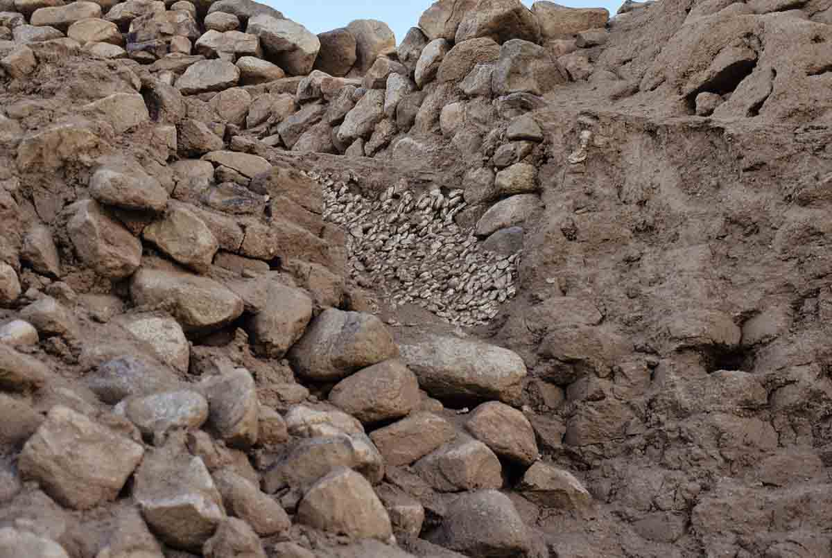 ACSAA Digital Images (Monuments)