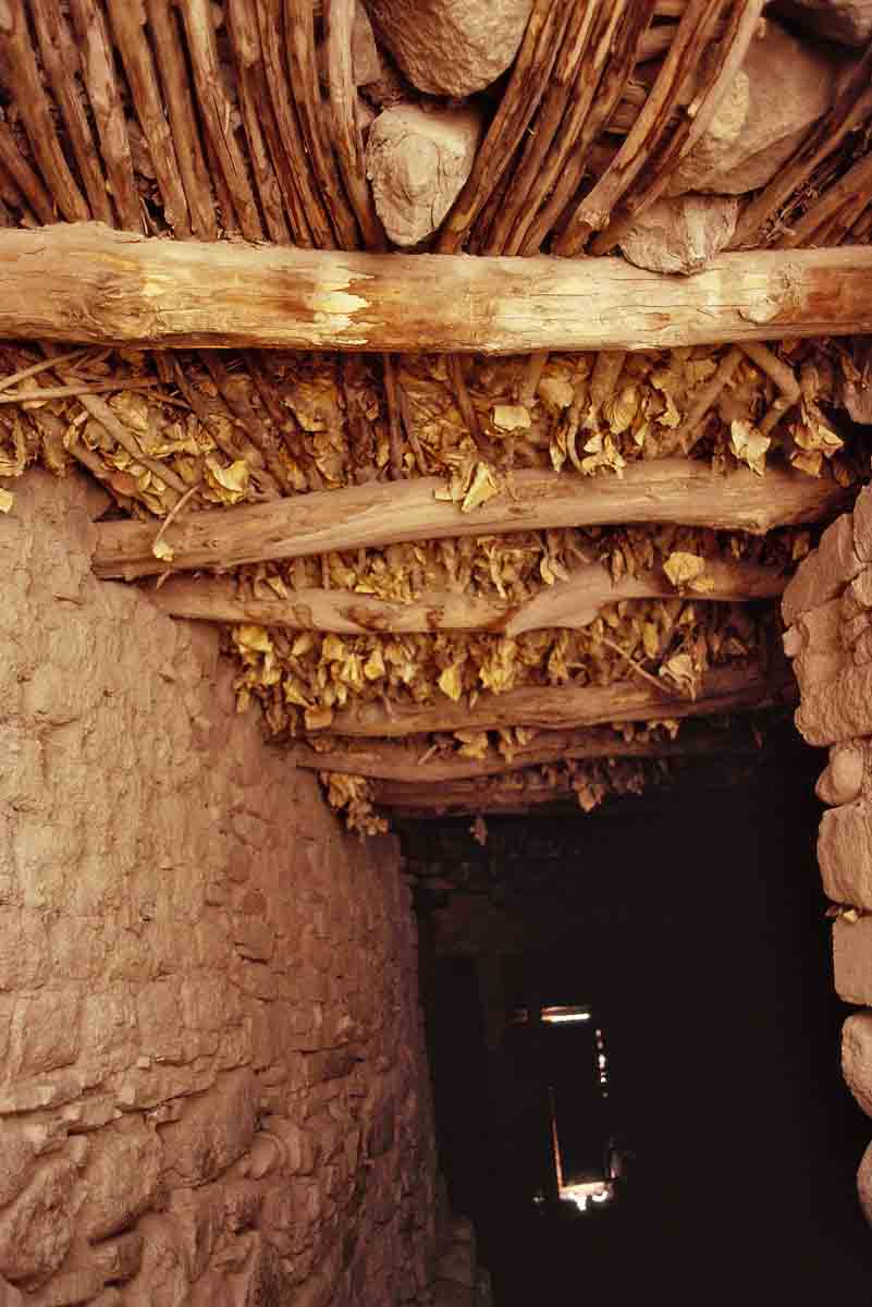 ACSAA Digital Images (Monuments)