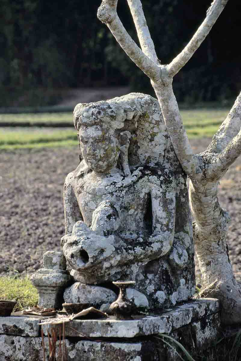 ACSAA Digital Images (Monuments)