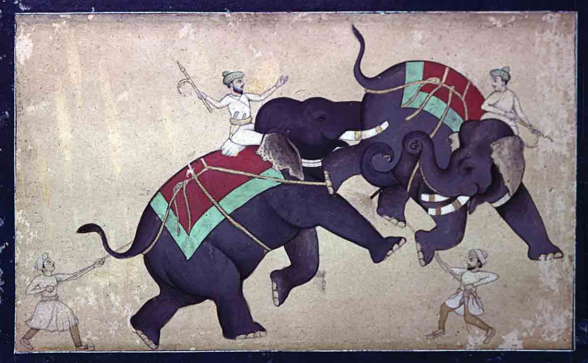 Jaipur Museum, Rajasthan