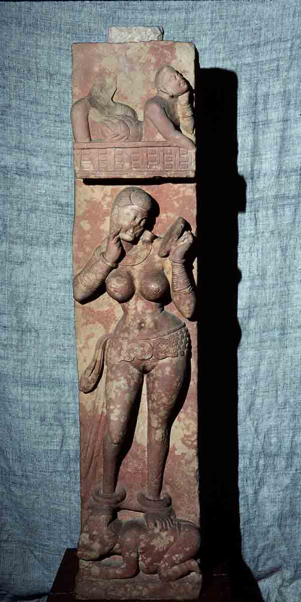 ACSAA Digital Images (Museums)