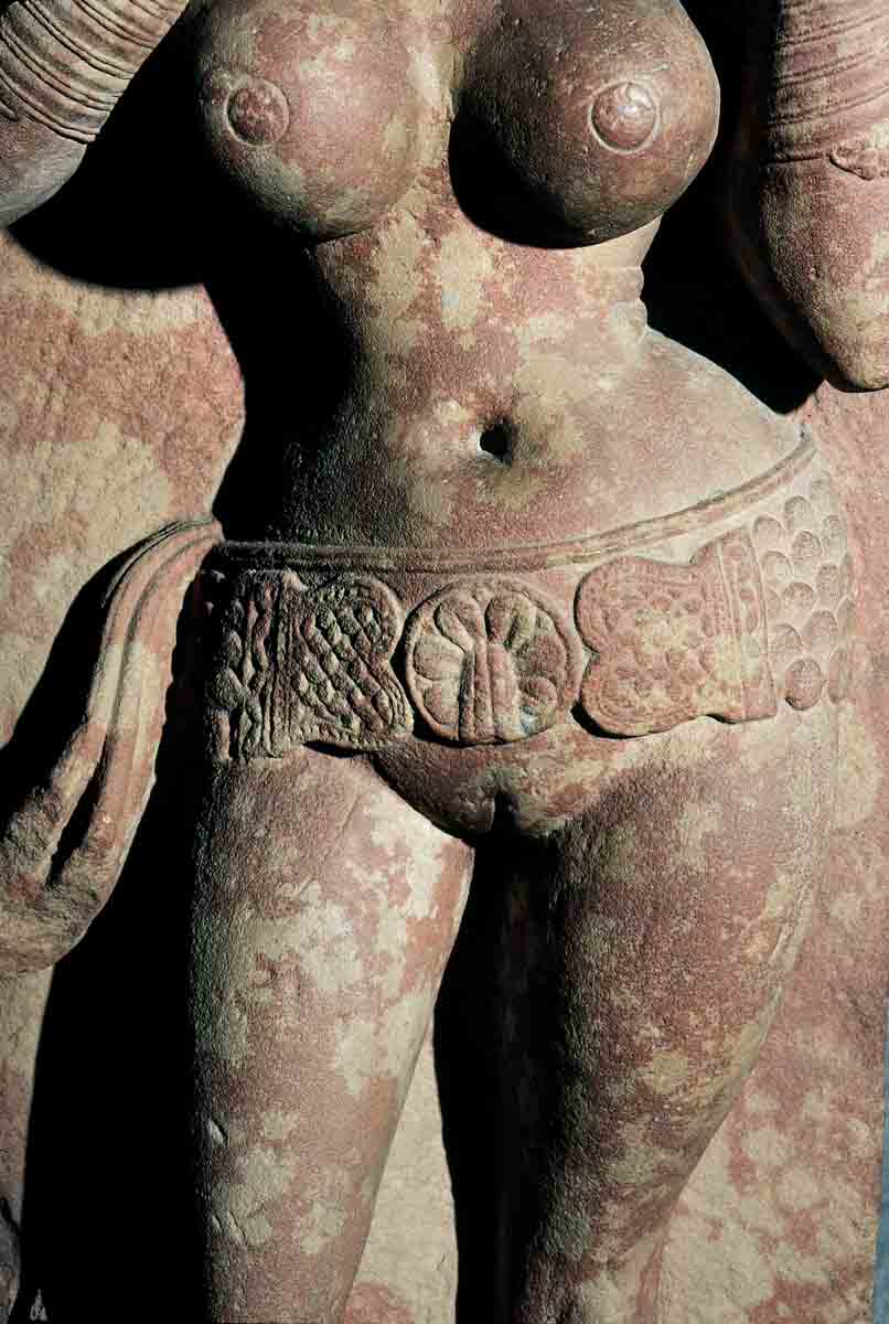 ACSAA Digital Images (Museums)