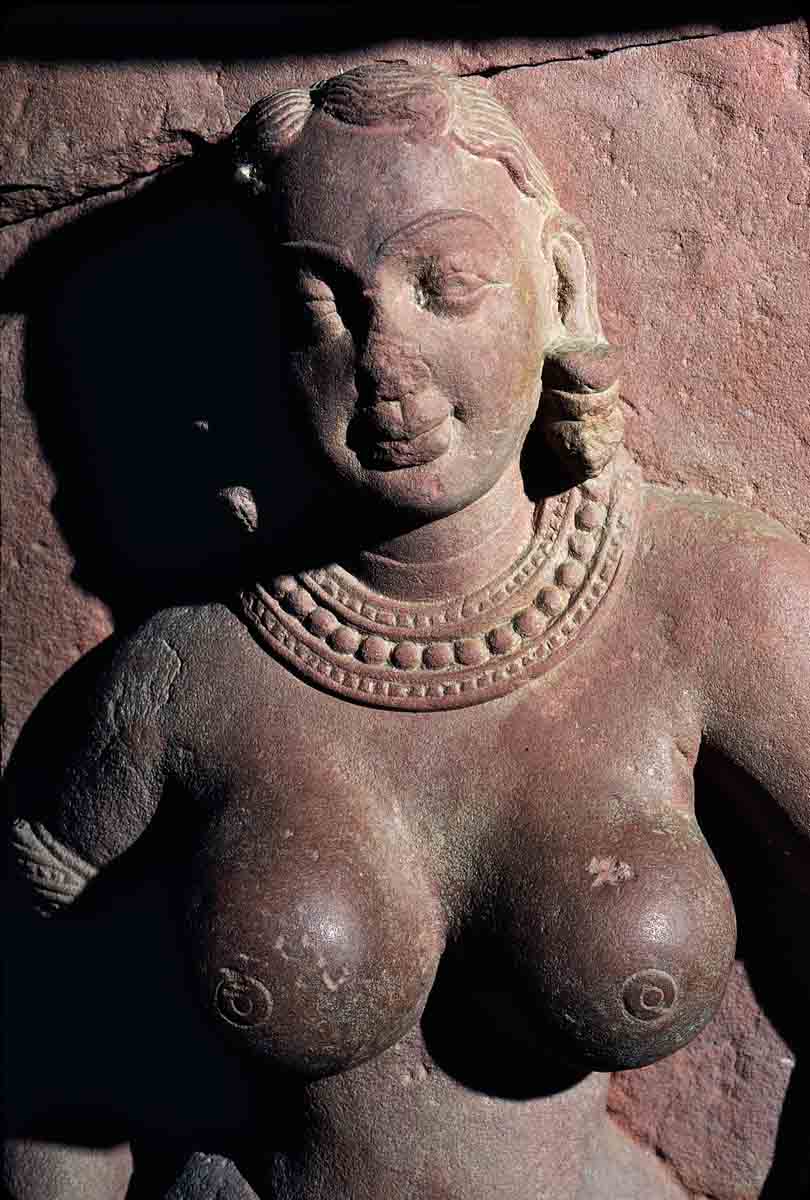 ACSAA Digital Images (Museums)