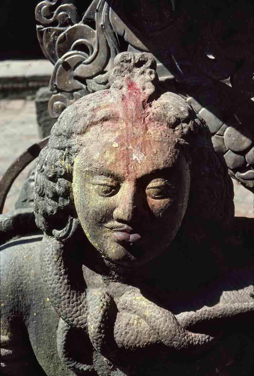 ACSAA Digital Images (Museums)