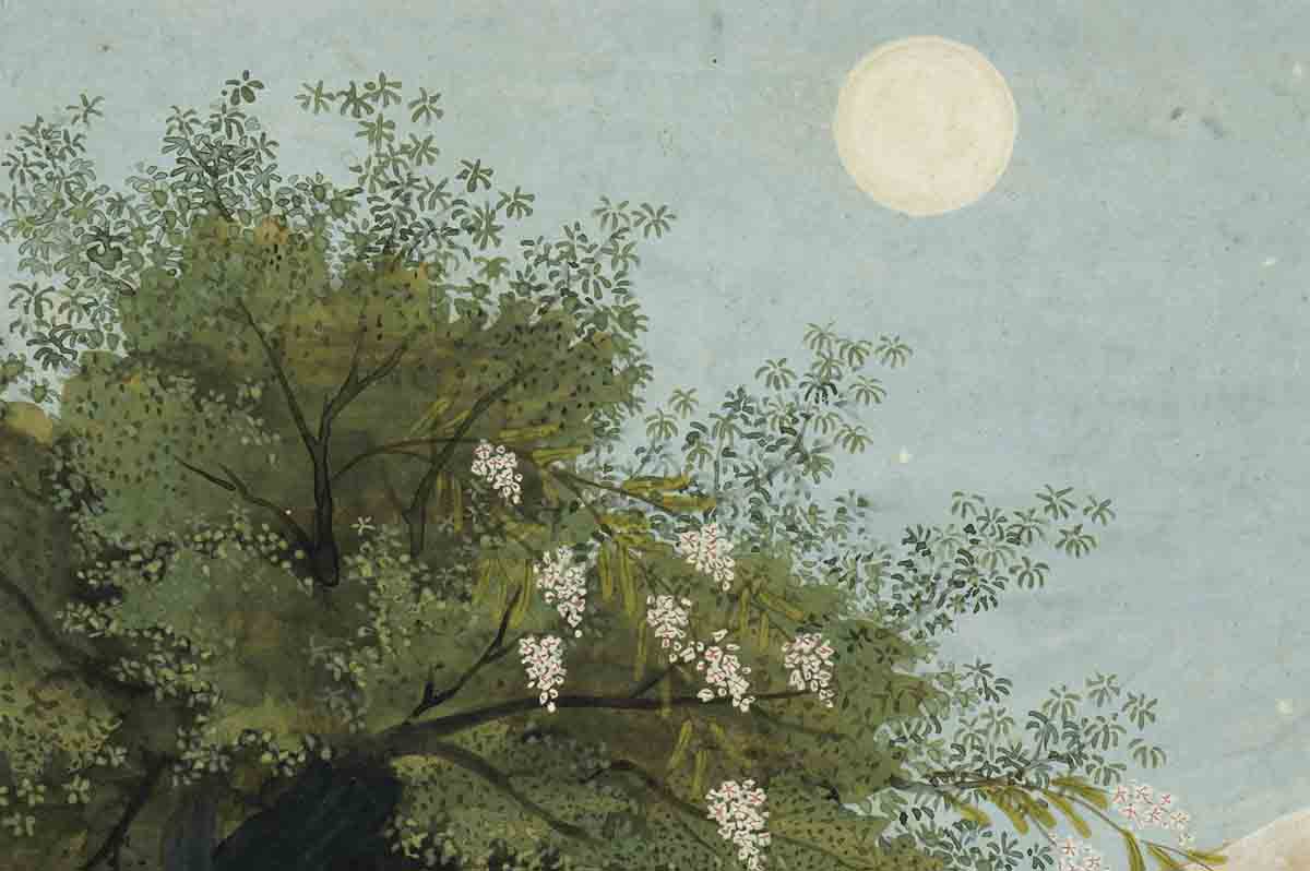 ACSAA Digital Images (Museums)