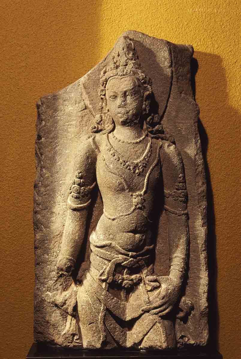 ACSAA Digital Images (Museums)